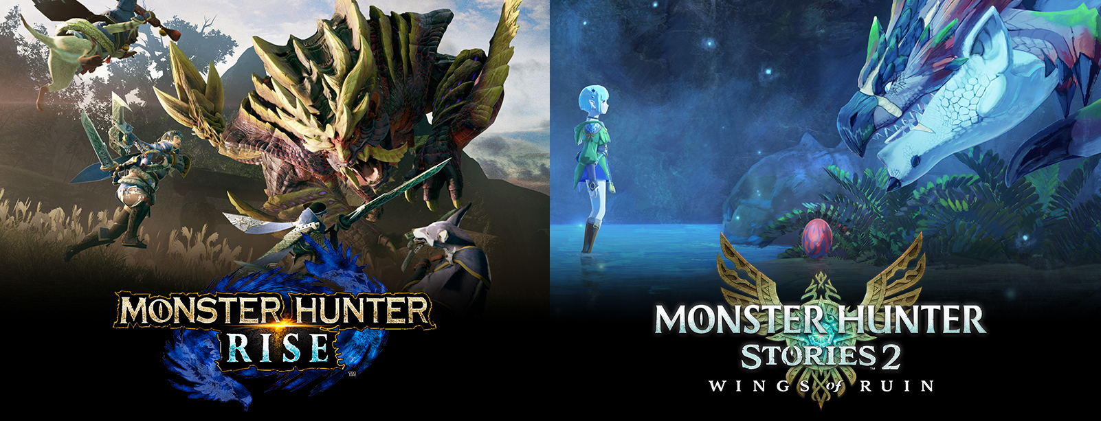 Monster Hunter Anniversary Day 2 - New Monster Hunter Rise